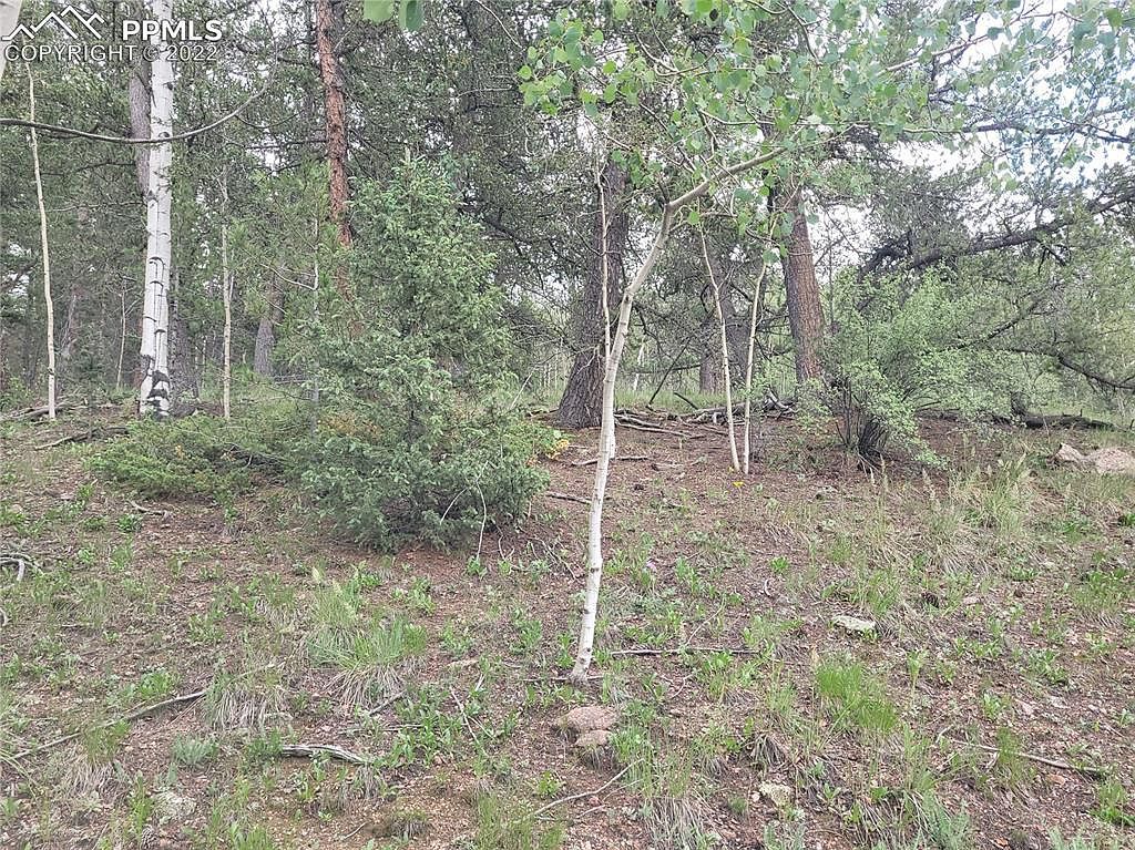2455 Yorktown Rd Cripple Creek, CO 80813  | Land/Lot