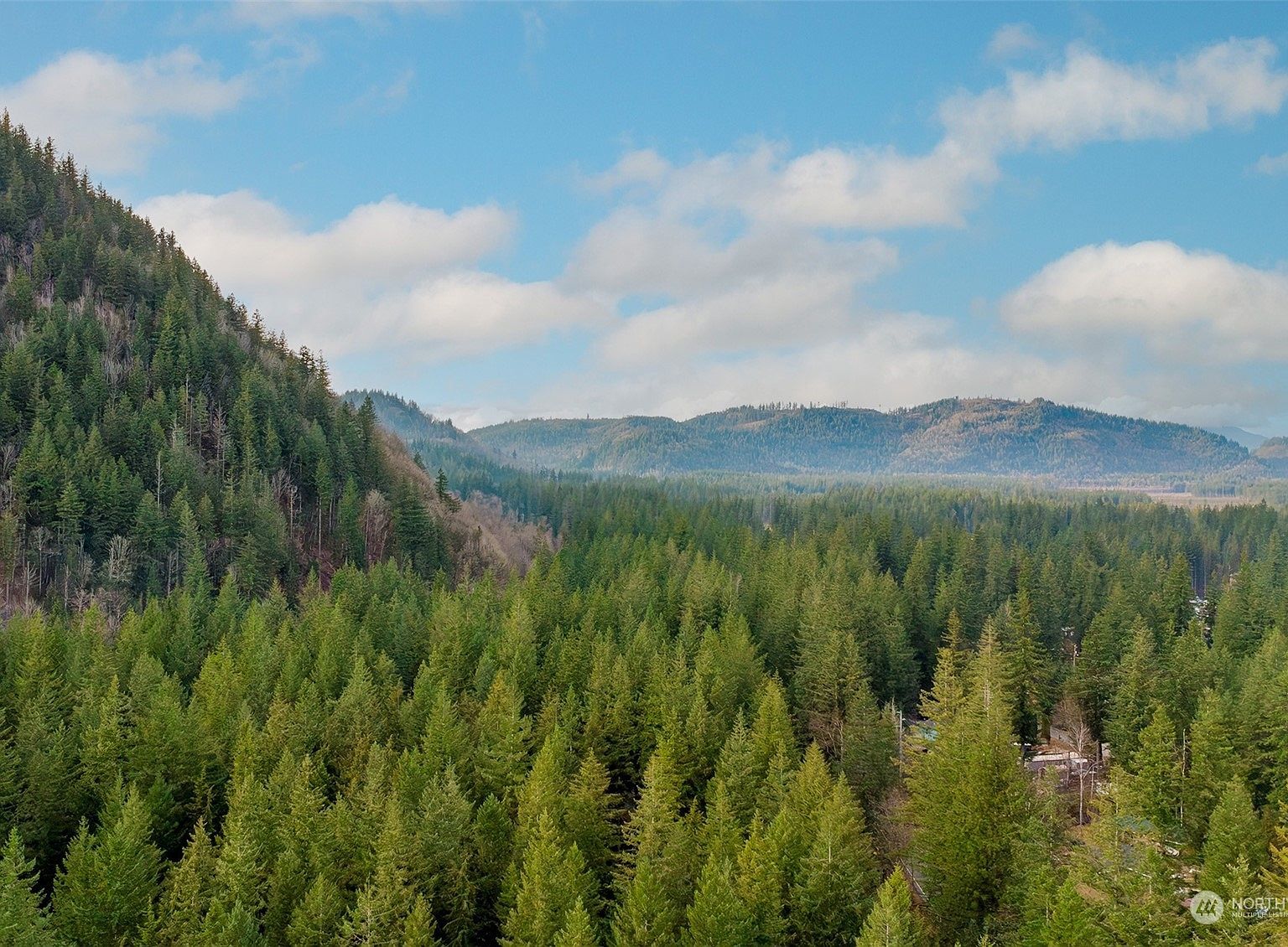 1176 Exit Rd Sumas, WA 98295  | Land/Lot