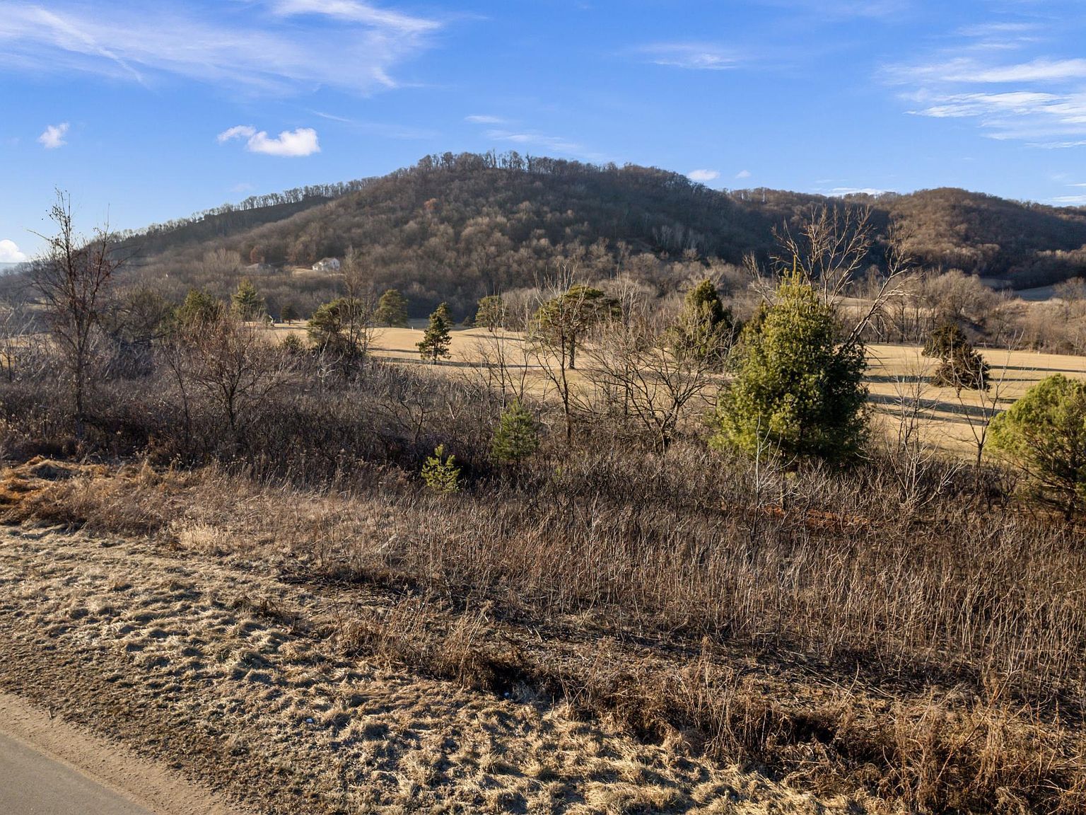 X County Rd #O Cochrane, WI 54622 | Land/Lot