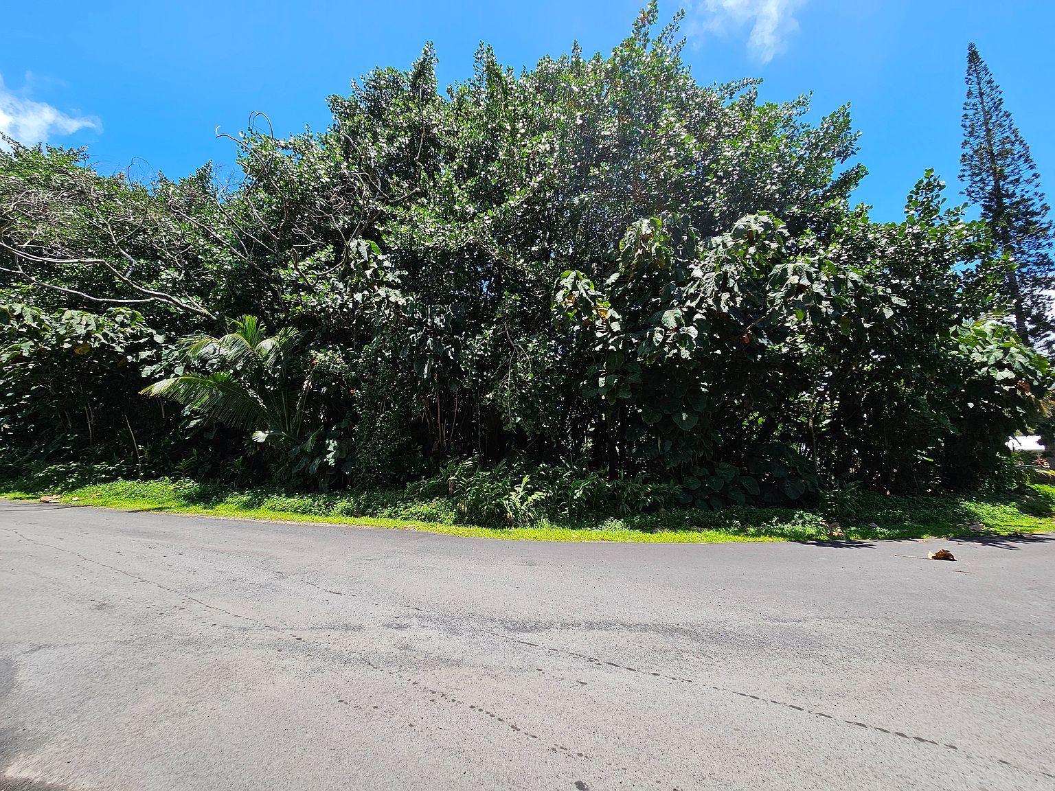 Papai St Pahoa, HI 96778 | Land/Lot
