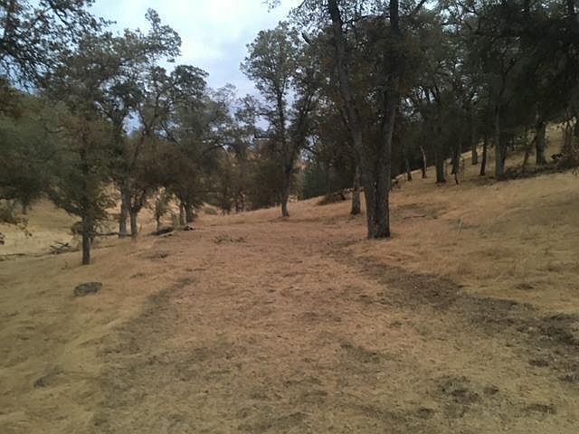 679 Zarzamora St, La Grange, CA, 95329 | Land/Lot