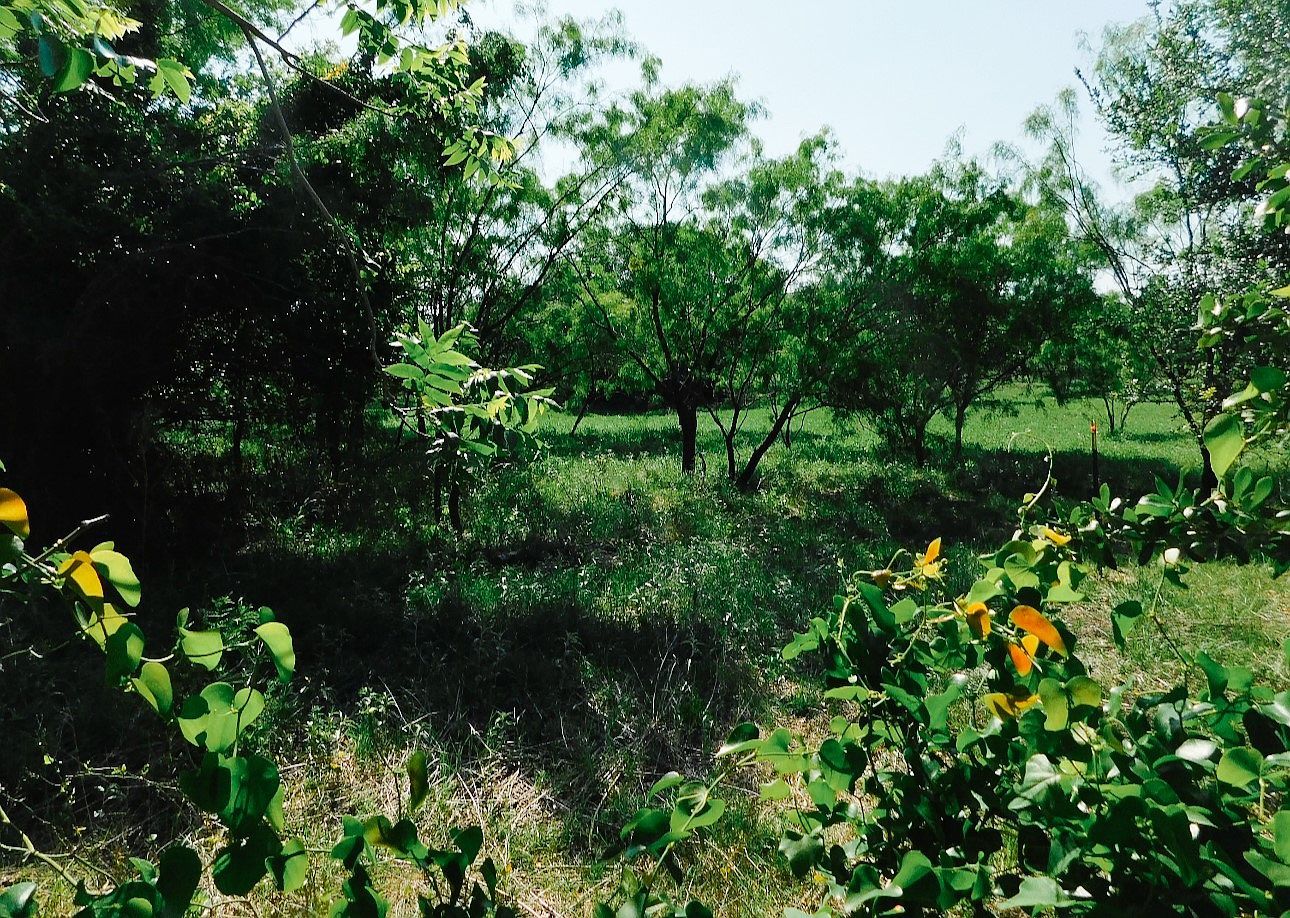 3105 Morris Sheppard Dr Brownwood, TX 76801  | Land/Lot