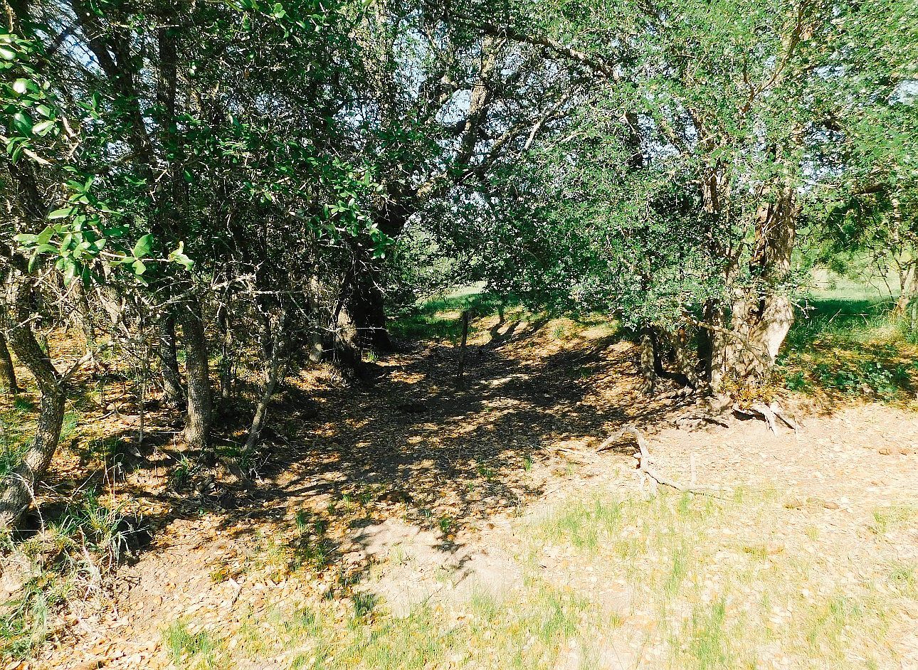 LOT 8 Morris Sheppard Dr Brownwood, TX 76801  | Land/Lot