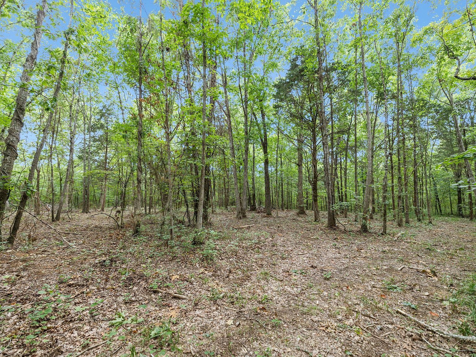 0 Morgan Rd TRACT 3 Rockvale, TN 37153  | Land/Lot