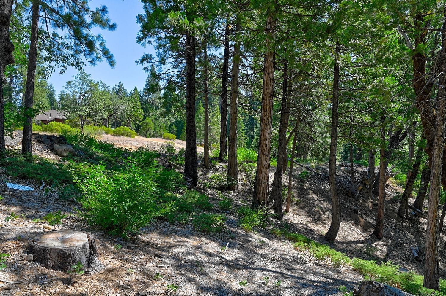 2690 Cheyenne Way Arnold, CA 95223  | Land/Lot