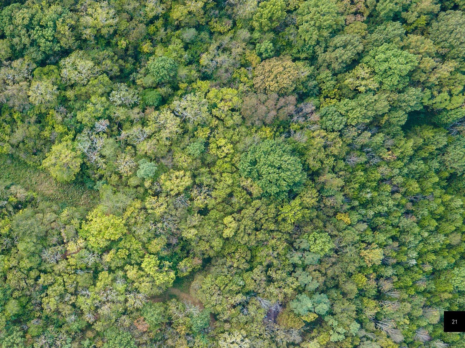 0 Wilder St LOT 8 Arlington, TN 38002 | Land/Lot