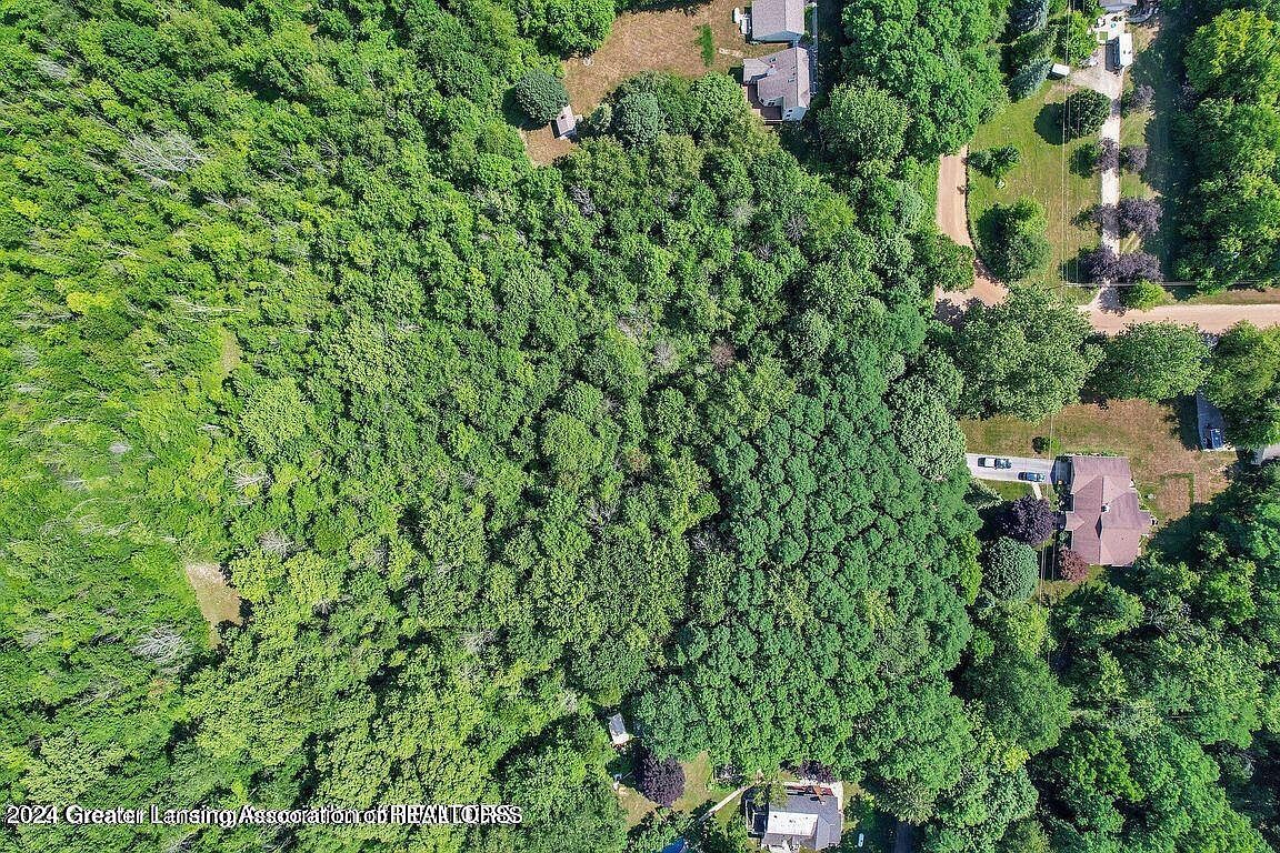 PARCEL Bailey Rd #A Dimondale, MI 48821  | Land/Lot