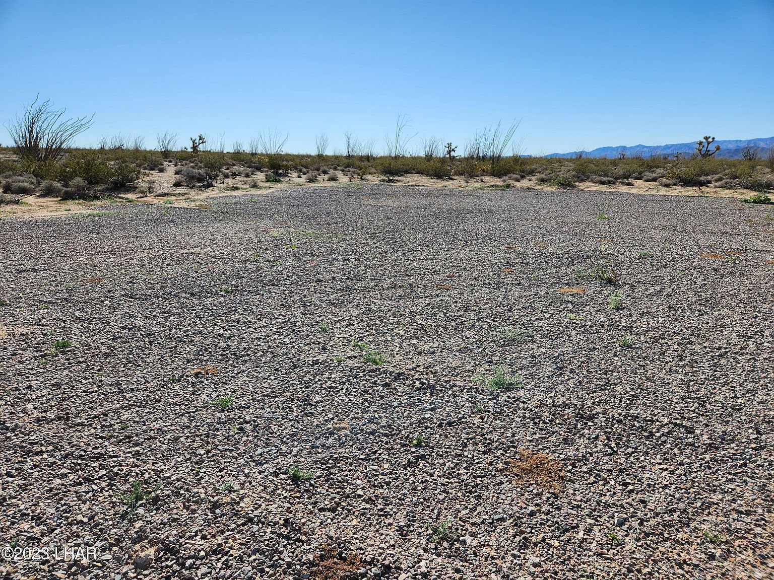 20724052A Desert Skies #2 Yucca, AZ 86438  | Land/Lot