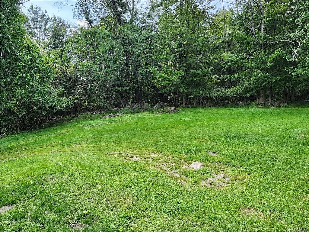 321 Logtown Rd Pt Jervis, NY 12771 | Single Family