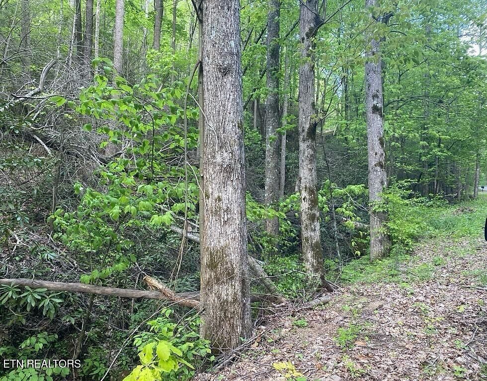 LOT 26 Alpine Dr Sevierville, TN 37876  | Land/Lot