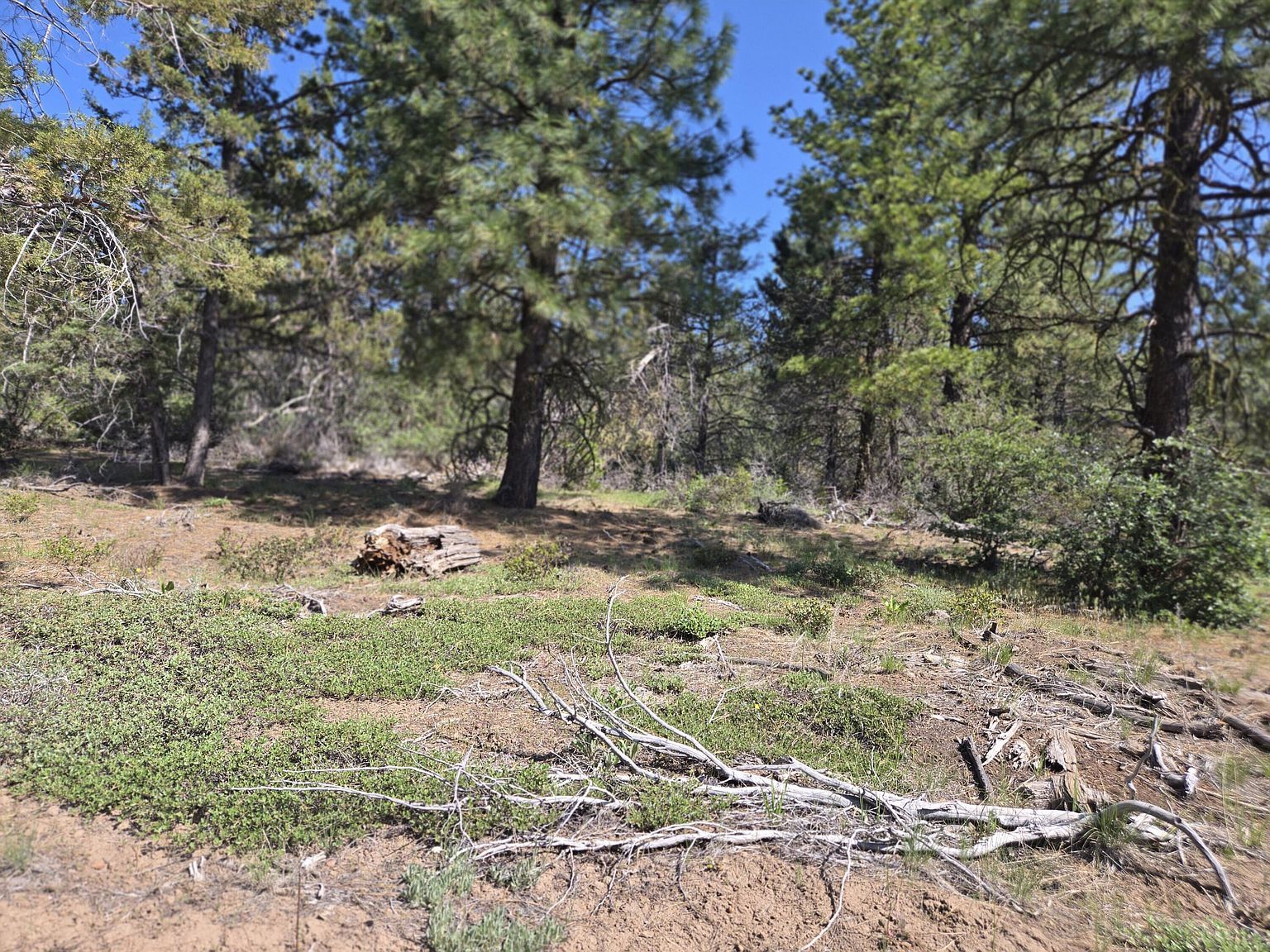 Meadow Lark Dr LOT 12 Bonanza, OR 97623  | Land/Lot
