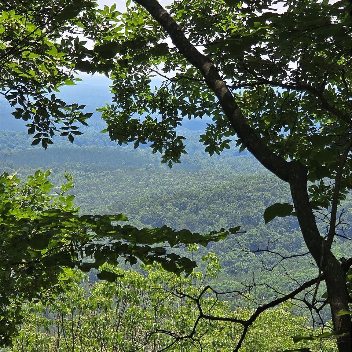 0 Pinnacle Pkwy Union Mills, NC 28167 | Land/Lot