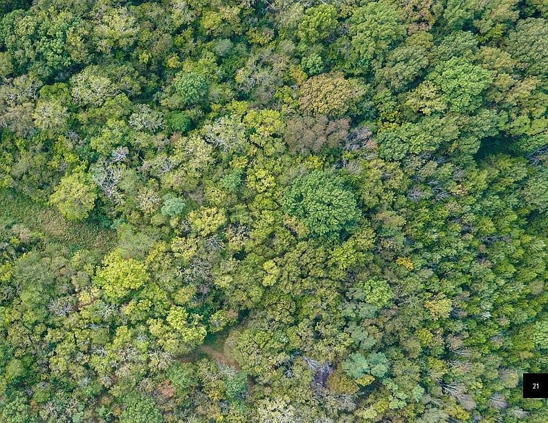 0 Wilder St LOT 1, Arlington, TN, 38002 | Land/Lot