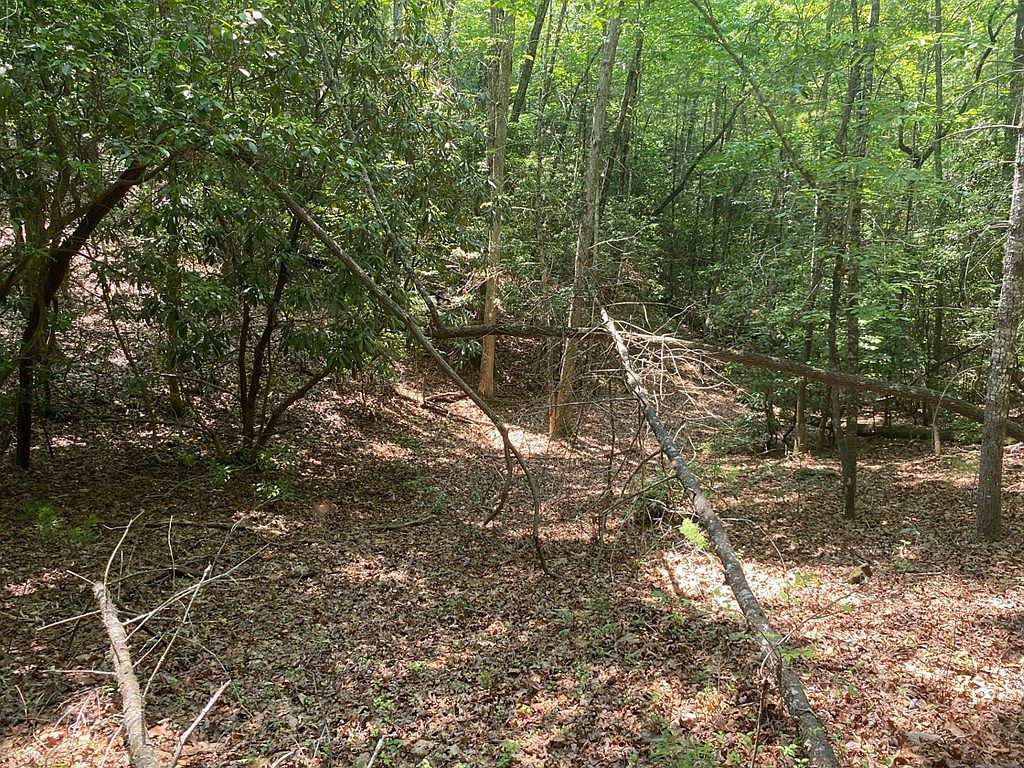 34 Point Overlook Trl Murphy, NC 28906 | Land/Lot