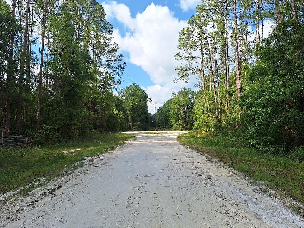 0 NE 512th St Old Town, FL 32680  | Land/Lot