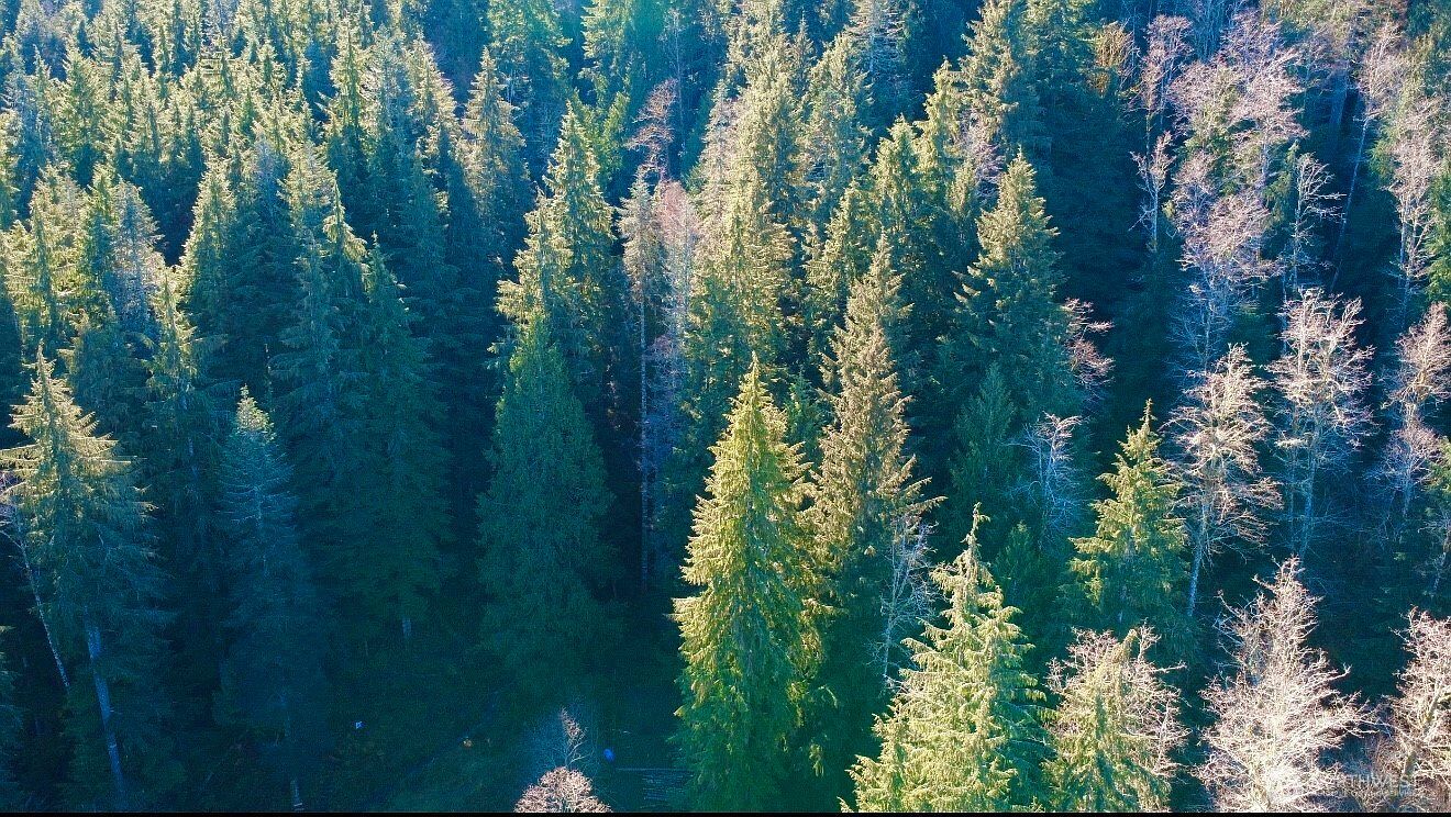 34750 S Shore Dr Mount Vernon, WA 98274 | Land/Lot