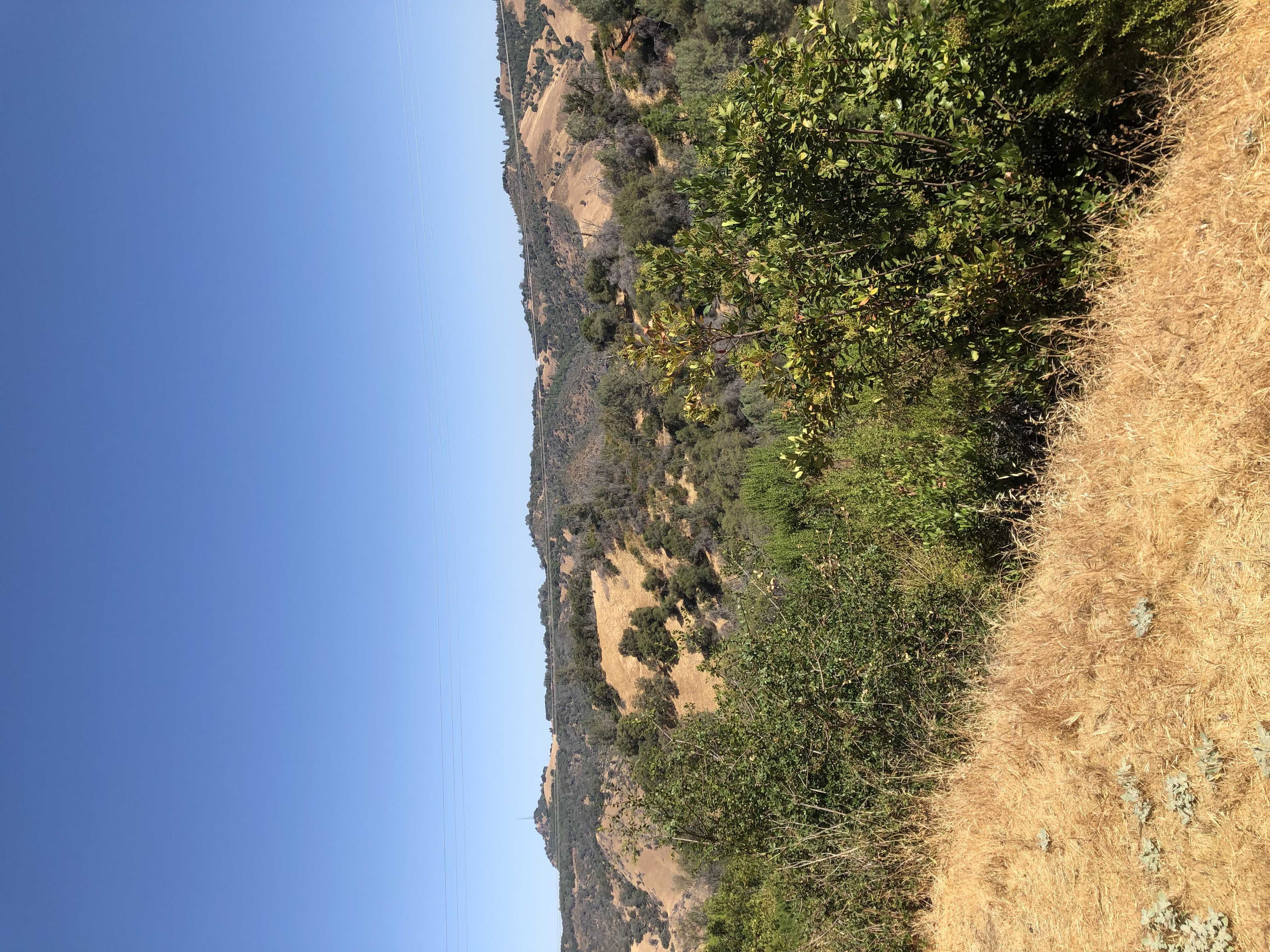 690 Ian Ct, Mokelumne Hill, CA, USA, 95245  | Land/Lot