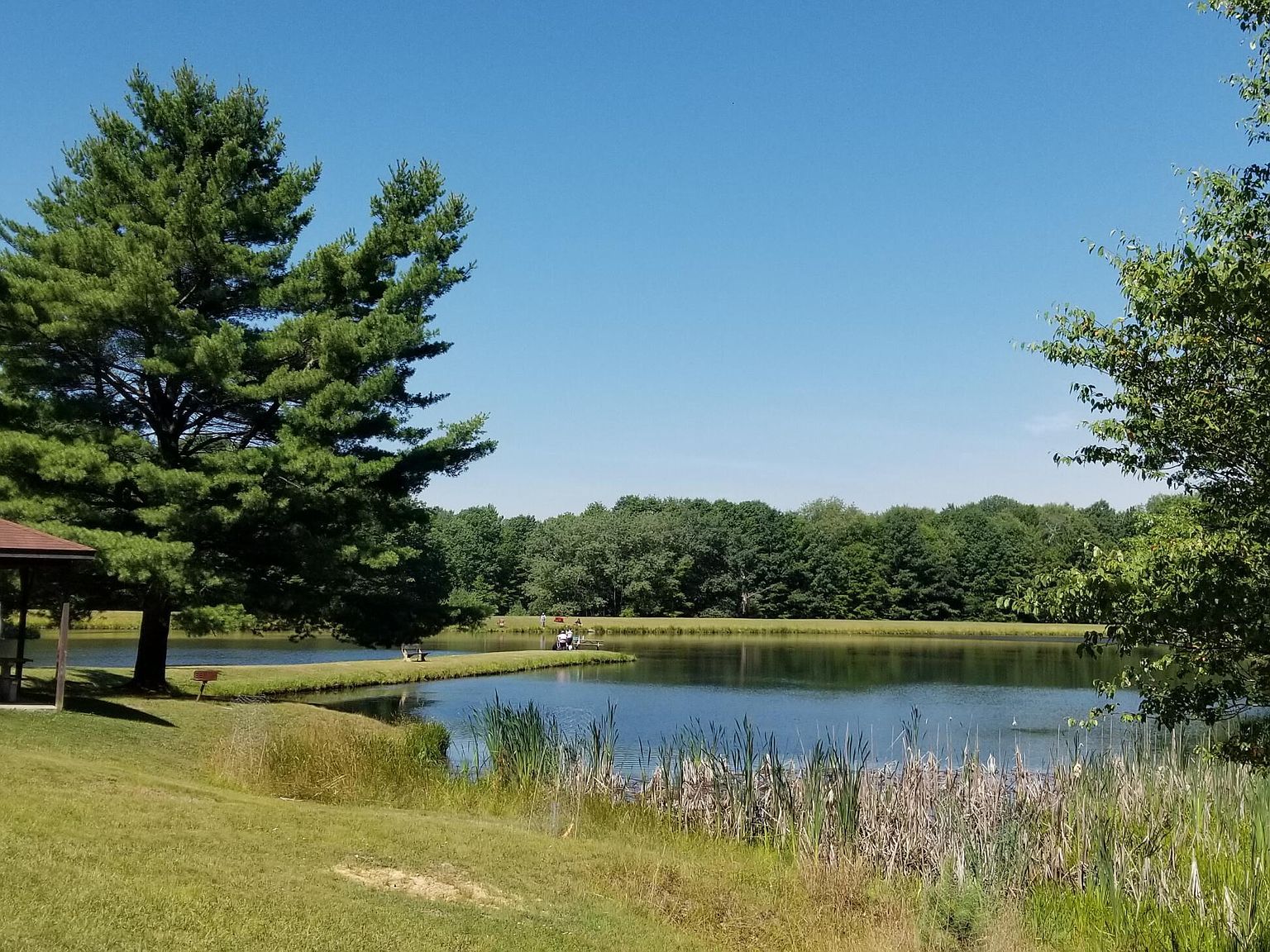 Santa Lucia Rd LOT 258 Du Bois, PA 15801 | Land/Lot