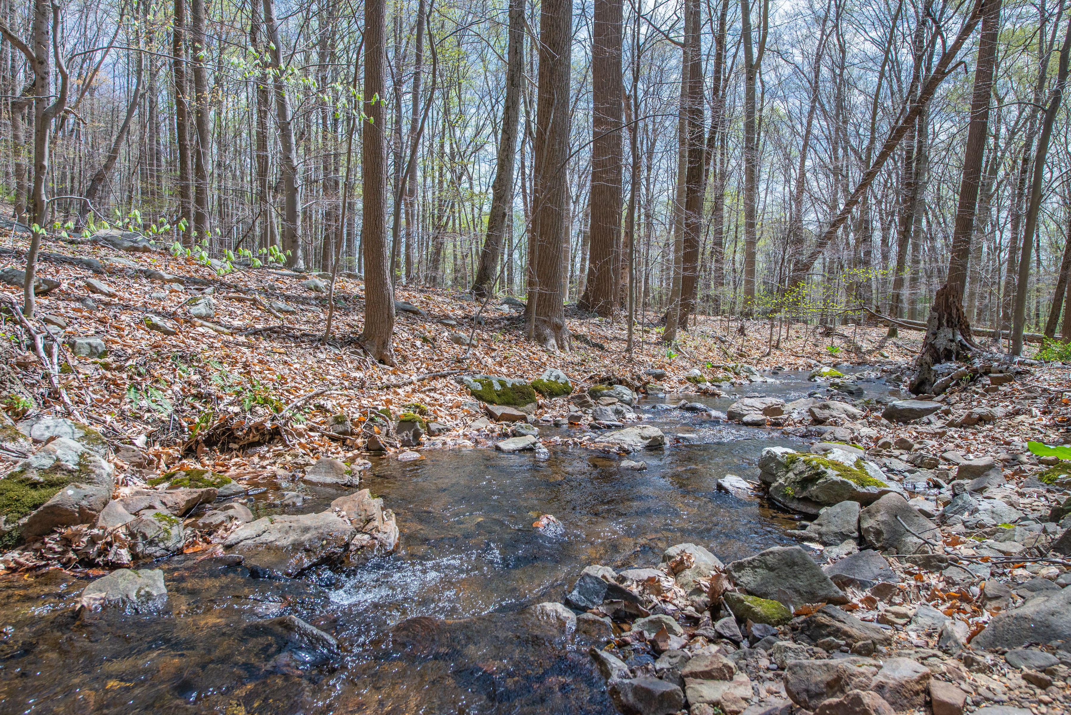 281 Fairview Avenue, Long Valley, NJ 07853, USA  | Single Family