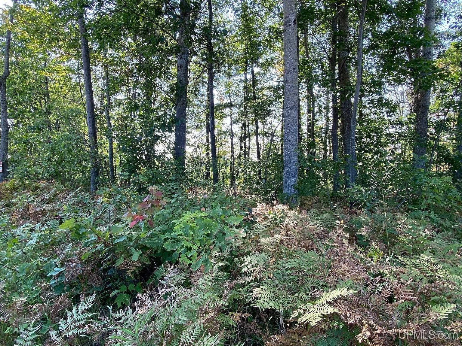 0 M 35 Little Lake, MI 49833  | Land/Lot