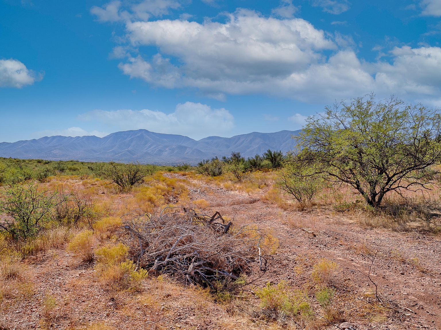 0 State Highway 260 Cottonwood, AZ 86326  | Land/Lot