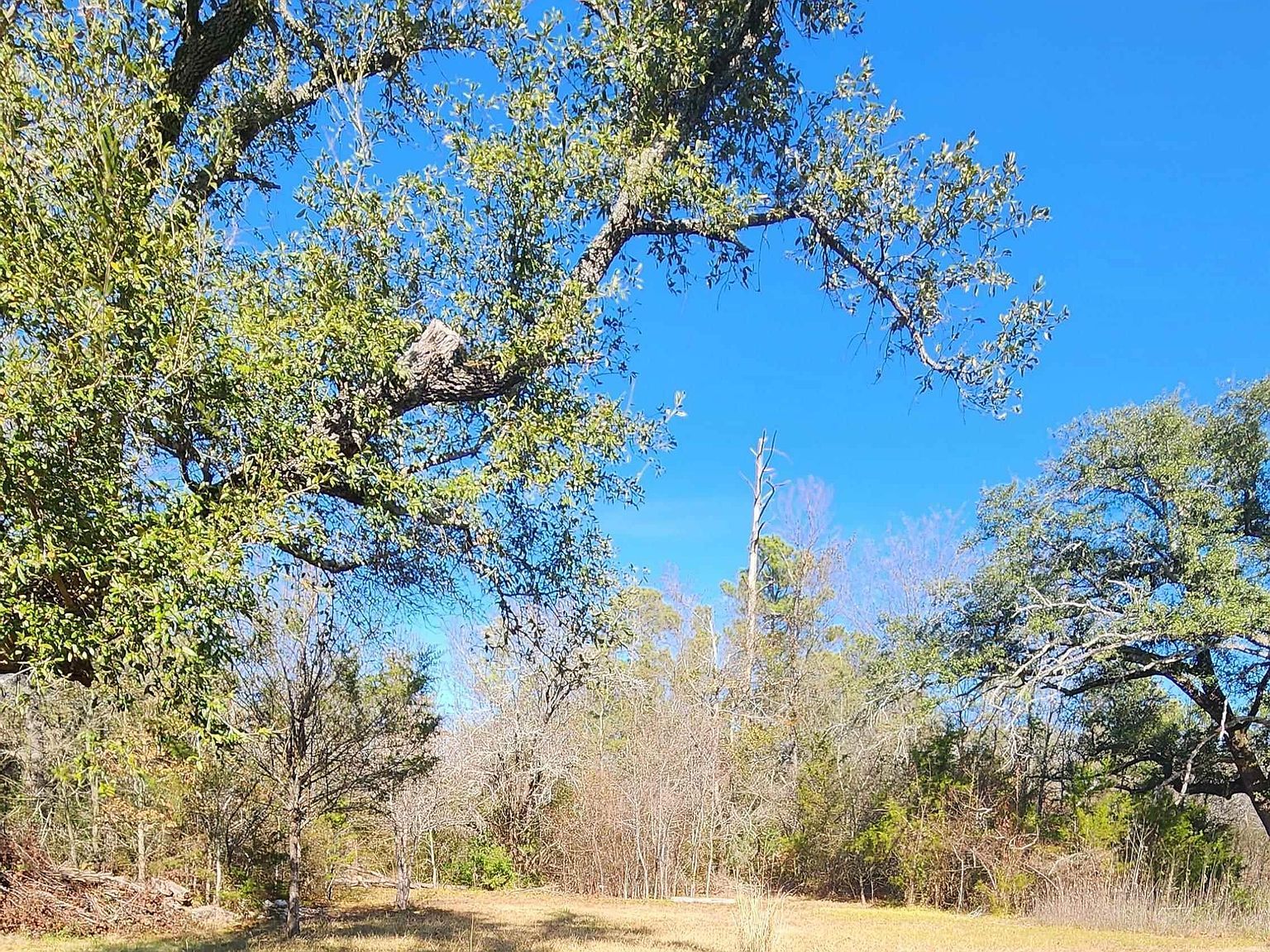 369 Pine Chase St Van, TX 75790 | Single Family