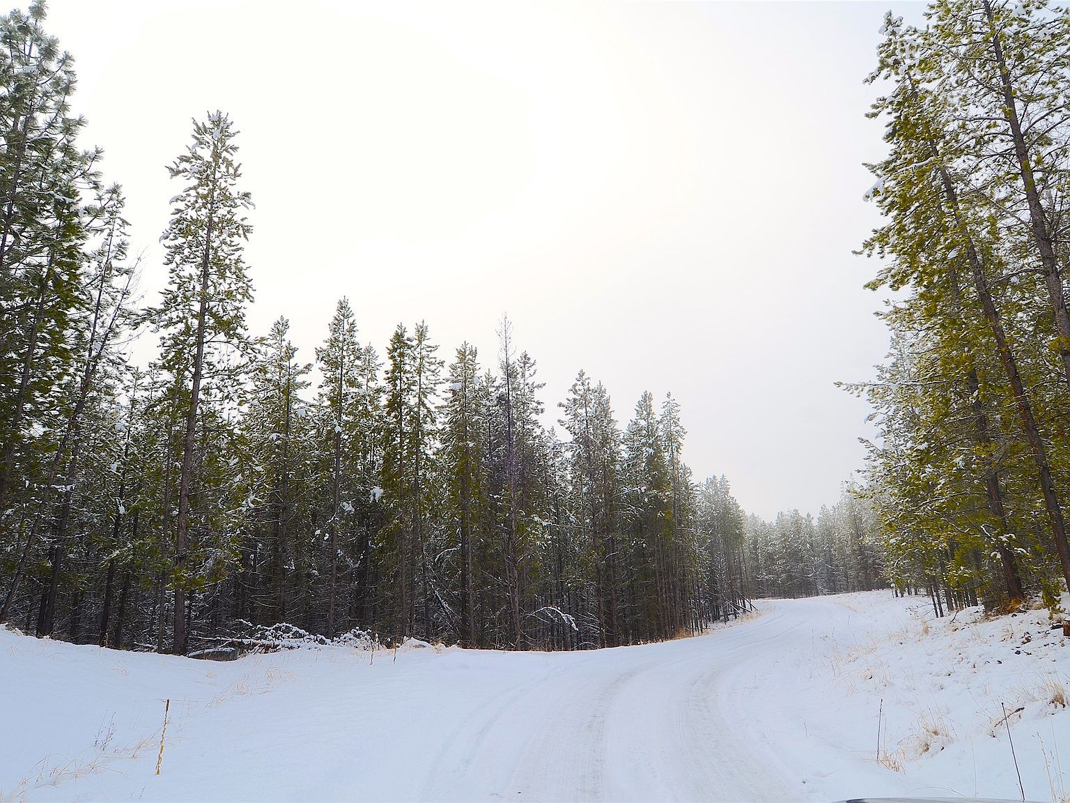 182 New Timber Ridge Trl Marion, MT 59925  | Land/Lot