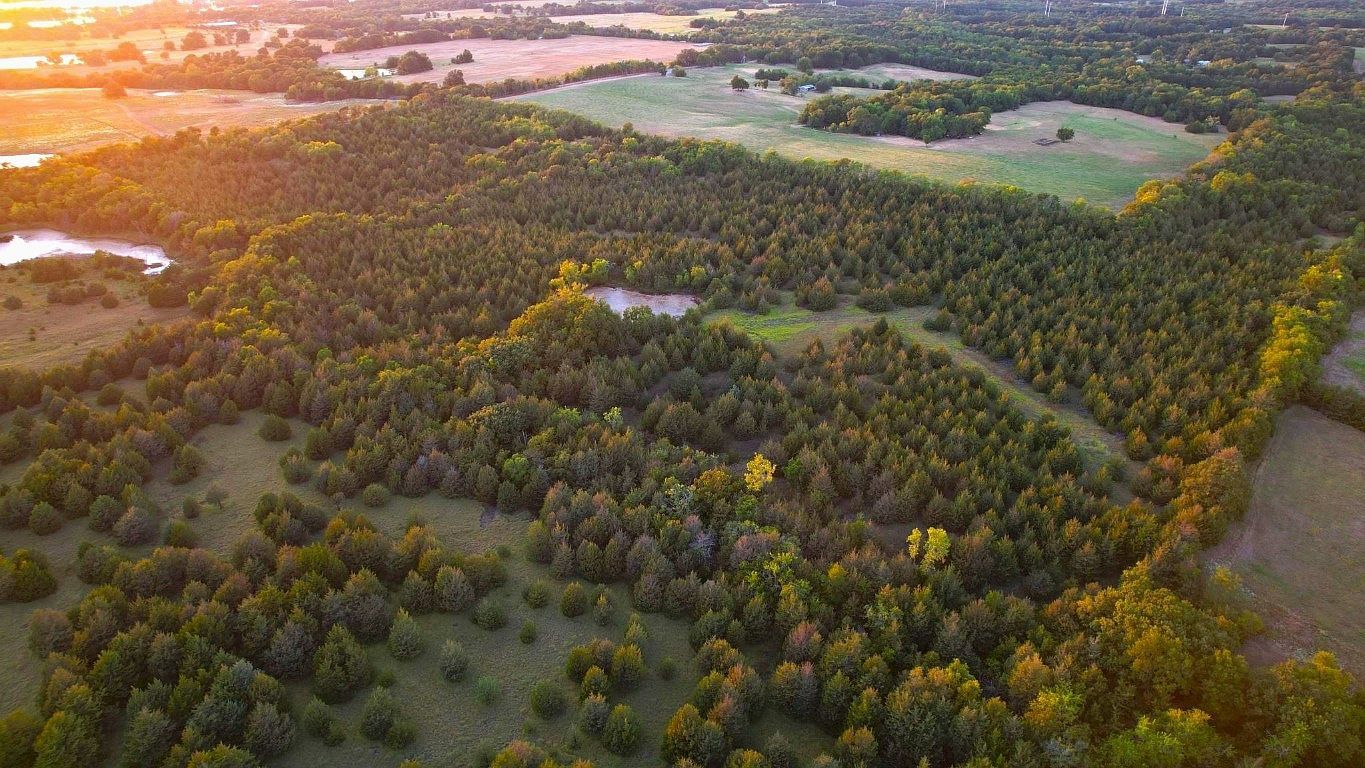 County Road 2965 Honey Grove, TX 75446  | Land/Lot