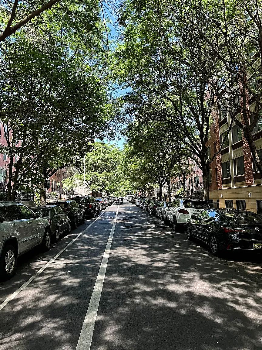 342 E 119th St APT 6D New York, NY 10035  | Condominium