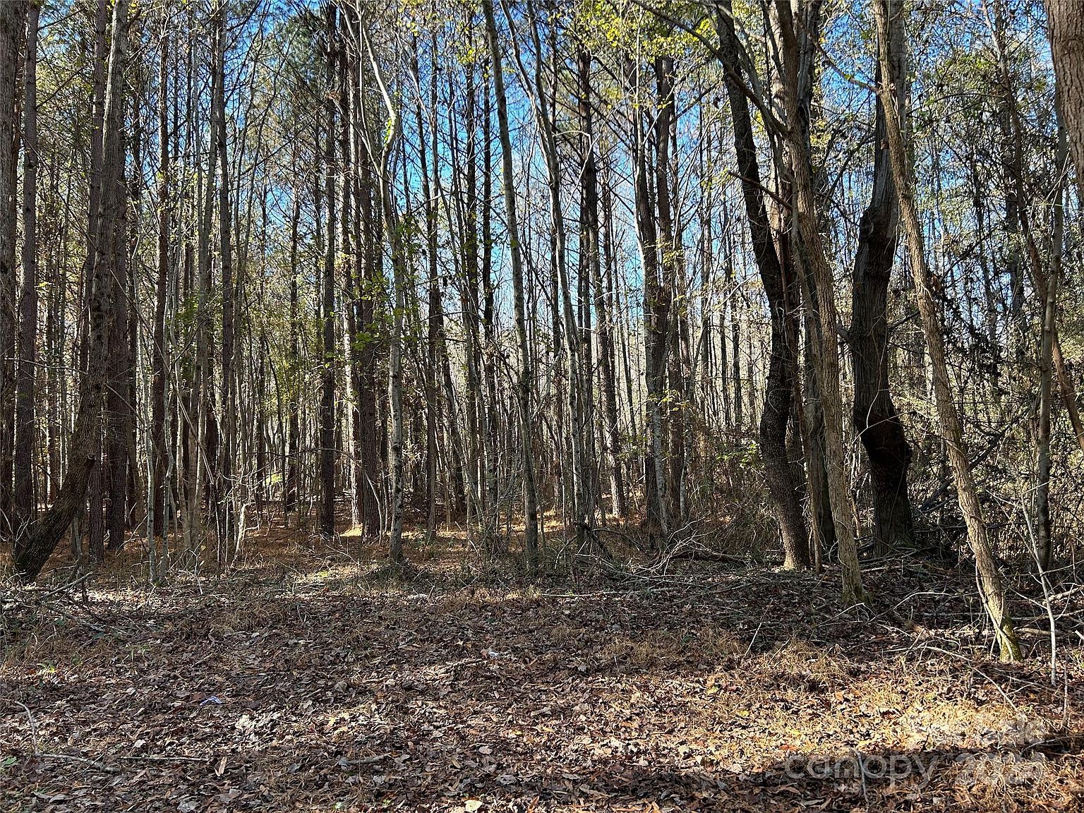 0 Lawrence Rd Cherryville, NC 28021  | Land/Lot