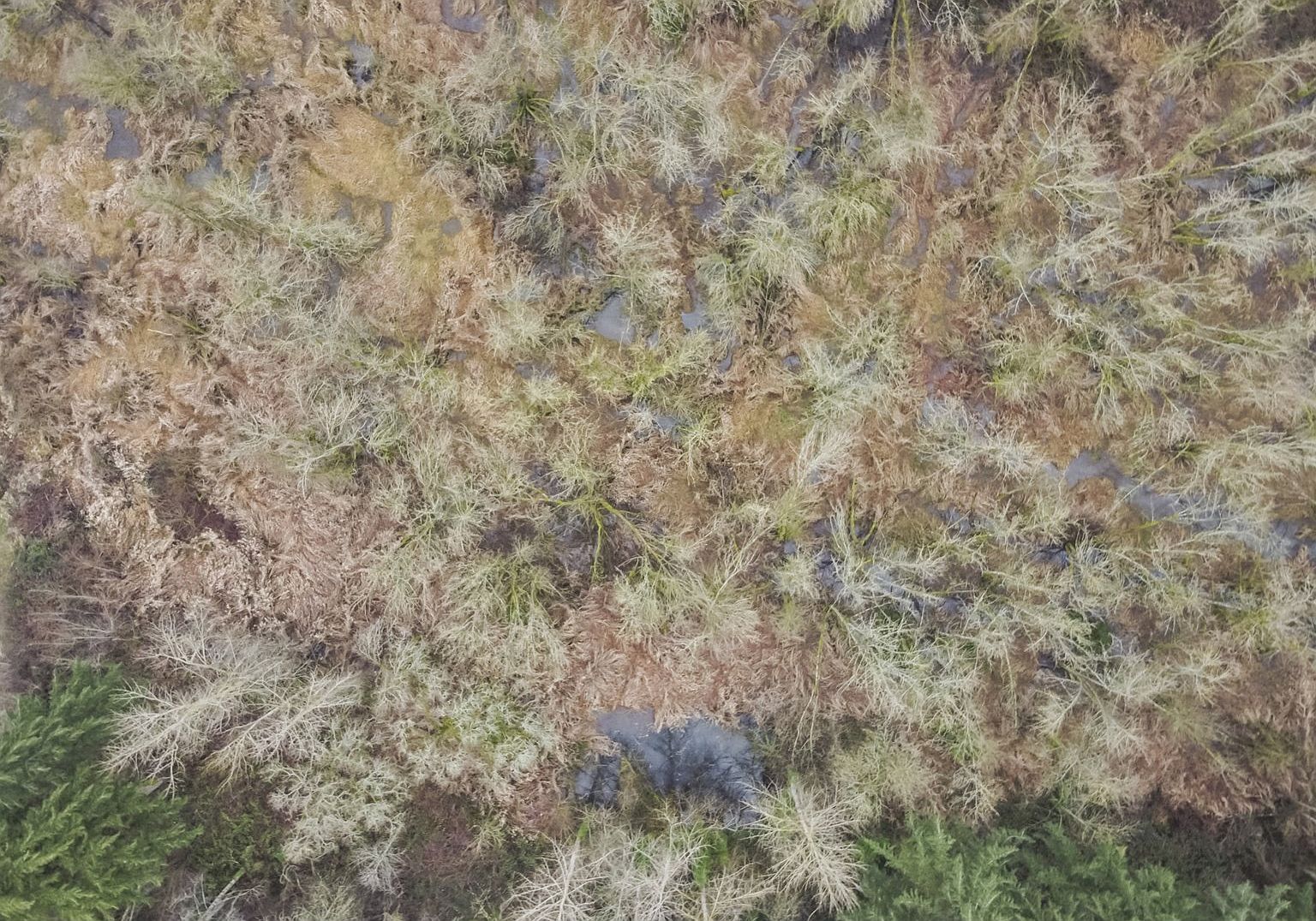 0 Ten Oaks Ln Woodburn, OR 97071  | Land/Lot