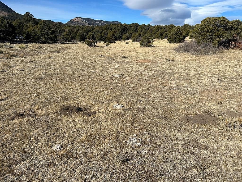 LOT 97 Colorado Land And Grazing Gardner, CO 81040  | Land/Lot