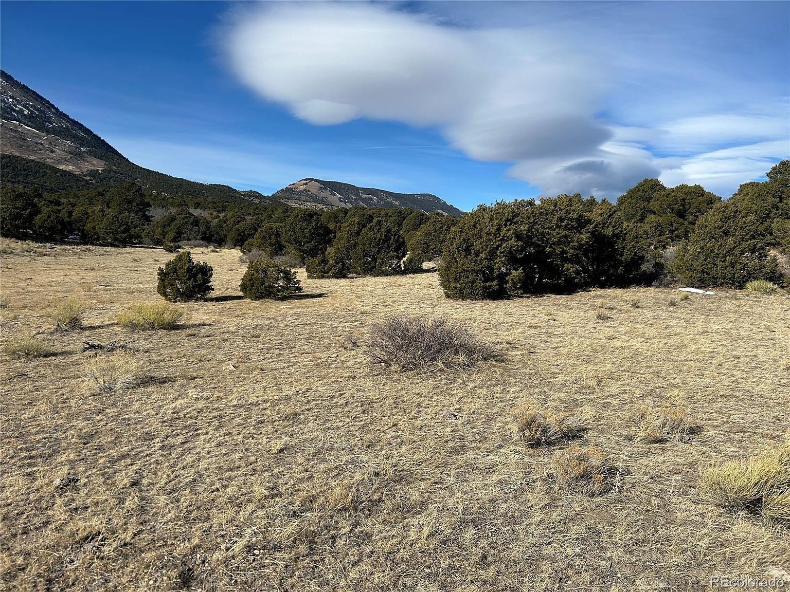 97 Cl&g Cir #1 Gardner, CO 81040  | Land/Lot