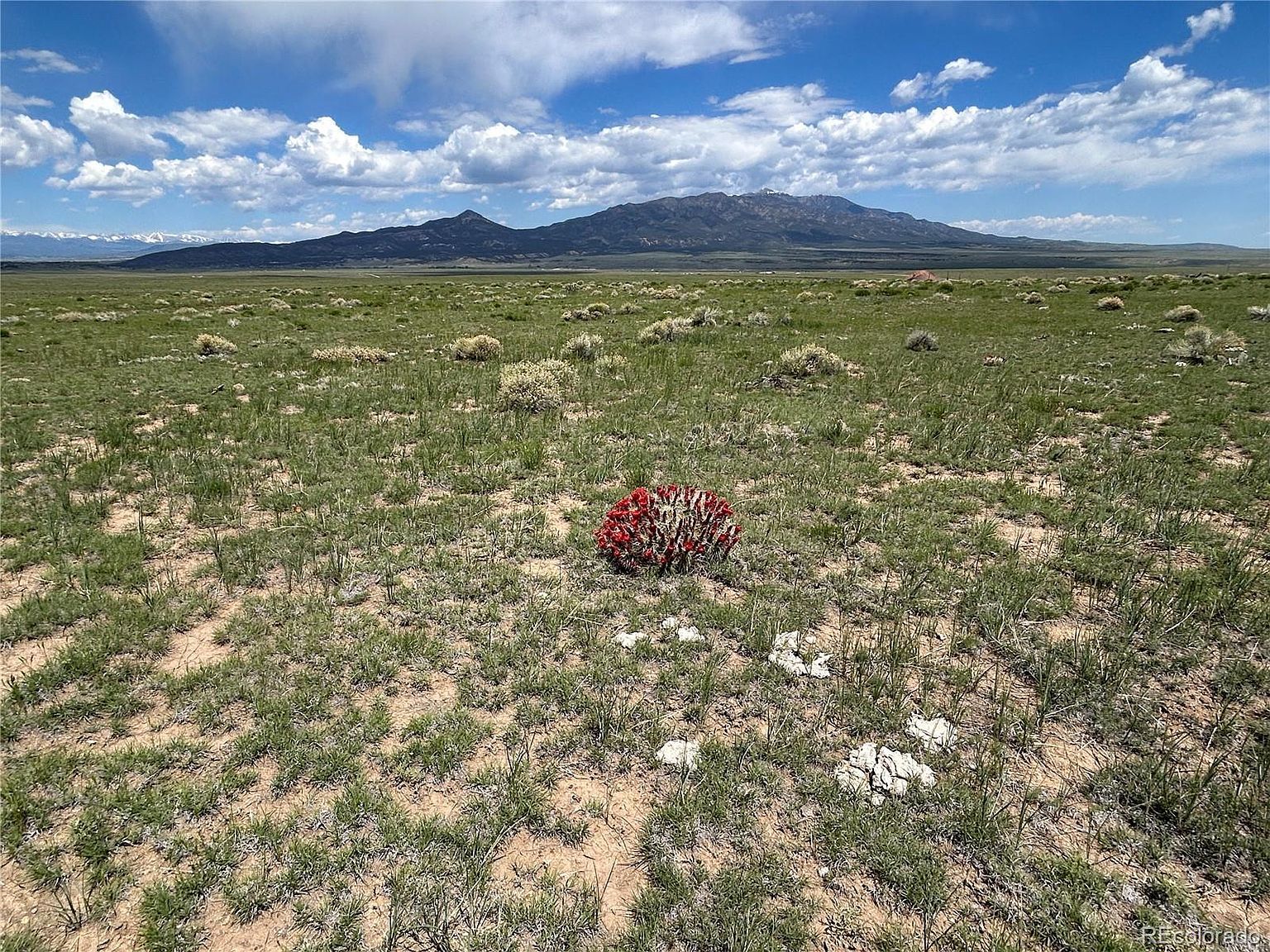 11 Tioga Rnch Walsenburg, CO 81089  | Land/Lot