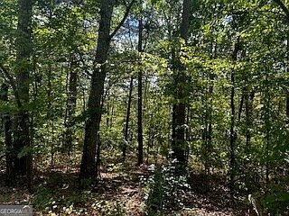 0 Rockhouse Rd #5 Waleska, GA 30183  | Land/Lot