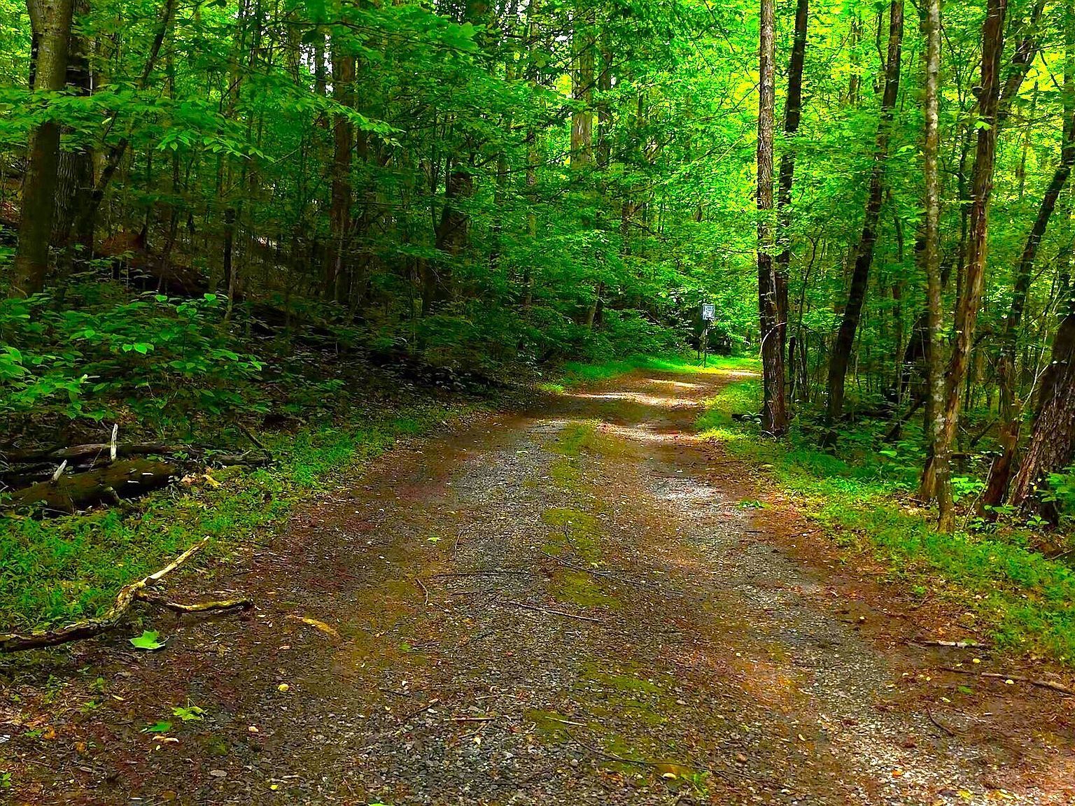 0 Nocona Trl Ellijay, GA 30536 | Land/Lot