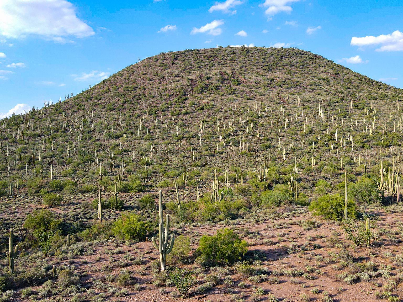 7700 E Highland Rd Cave Creek, AZ 85331 | Land/Lot