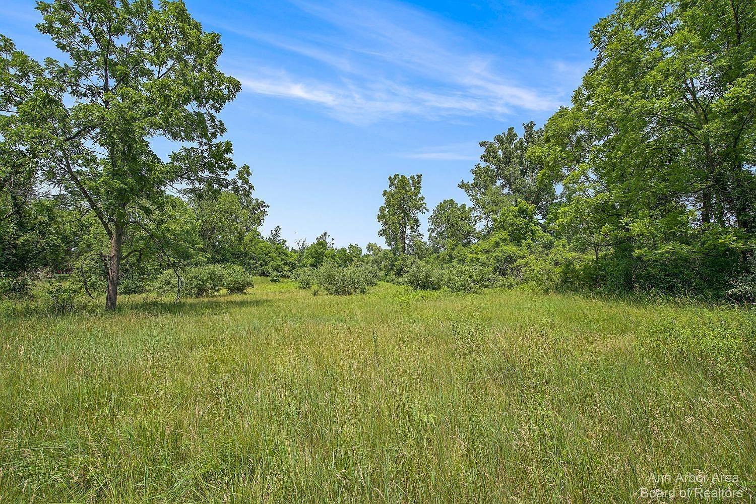 0 Warren Rd Ann Arbor, MI 48105  | Land/Lot