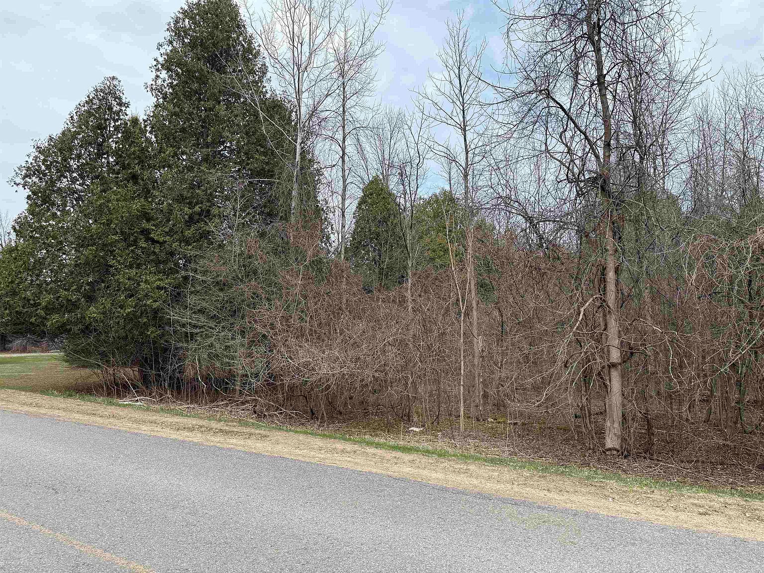 Brown Church Rd Lisbon, NY 13658  | Land/Lot