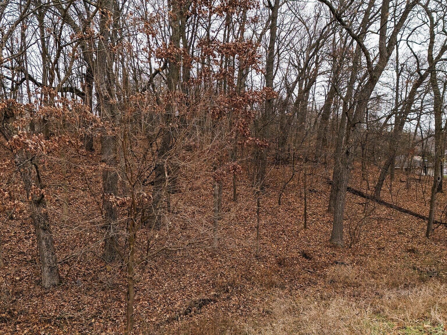 893 Ridge Rd Chelsea, MI 48118  | Land/Lot