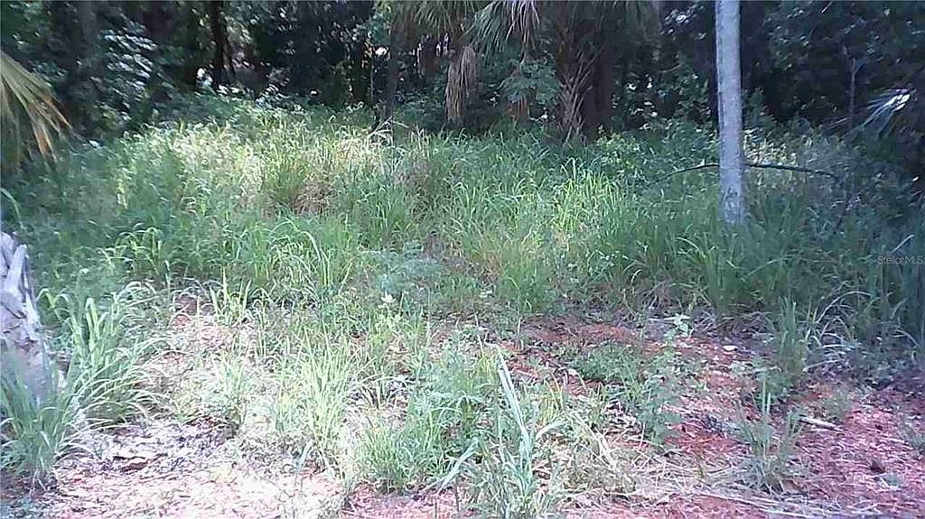 5302 7th Ave S #4 Saint Petersburg, FL 33707 | Land/Lot