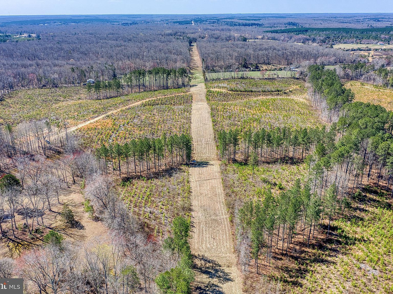 Yellowbottom Rd Lignum, VA 22726  | Land/Lot