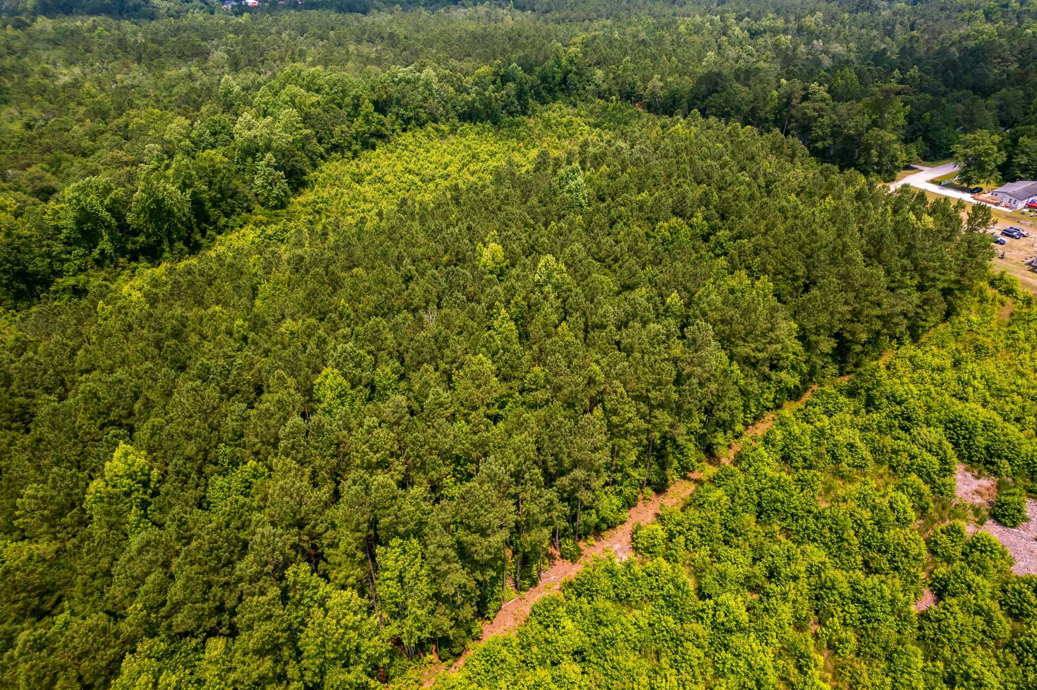 Lot 4 near Palmer's Branch Drive NE, Leland, 28451  | Land/Lot