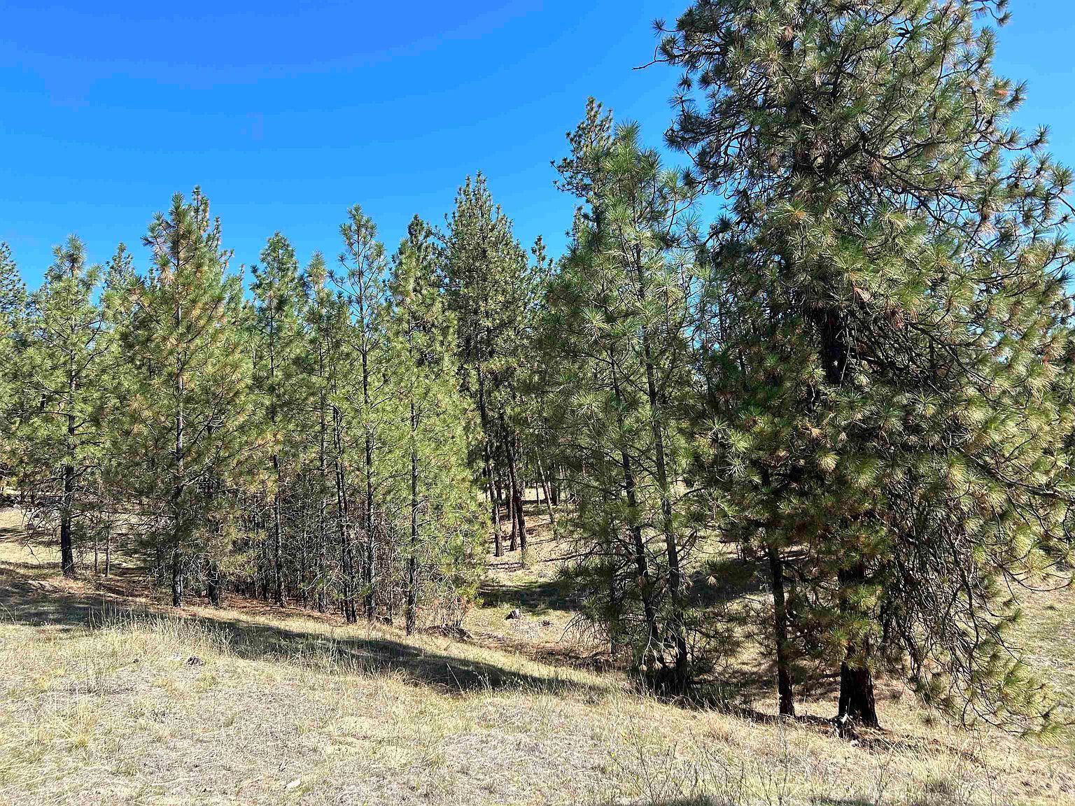 Nna Corkscrew Canyon Rd Tumtum, WA 99034  | Land/Lot