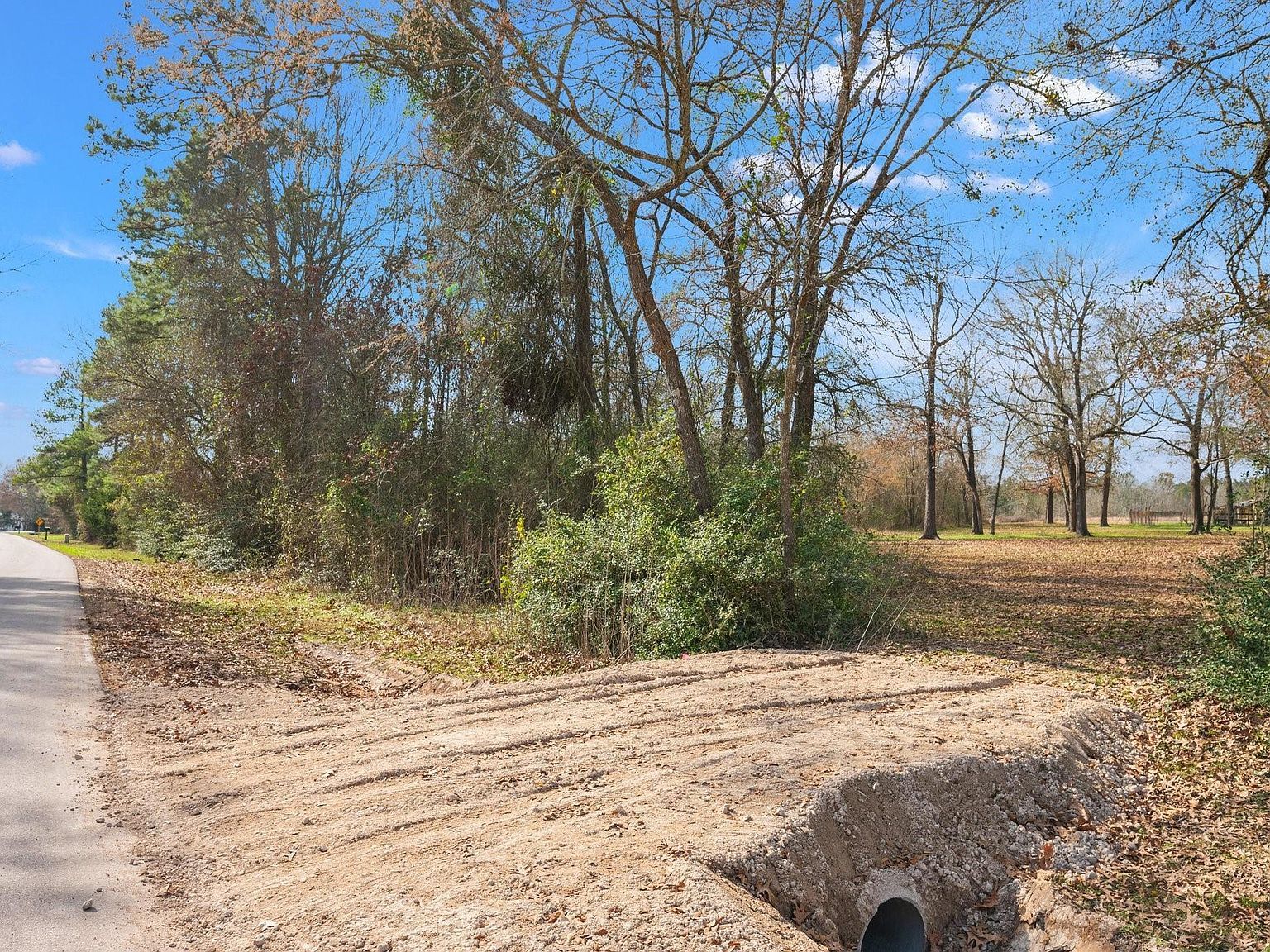 13115 Bethel Rd Montgomery, TX 77356  | Land/Lot