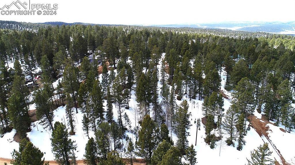 178 Gerka Ln Florissant, CO 80816 | Land/Lot