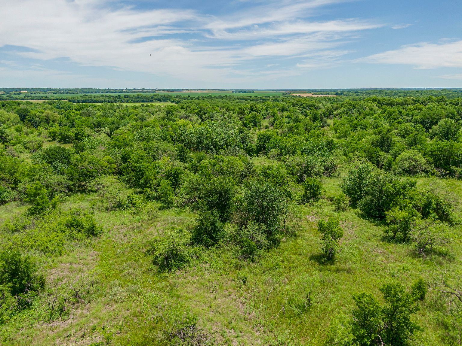 0 White Rock Rd Italy, TX 76651 | Land/Lot