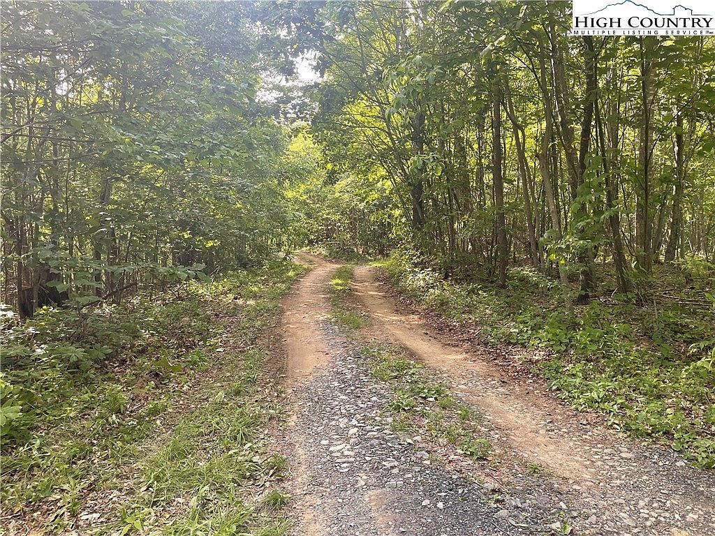 Tbd Jont Mountain Rd Lansing, NC 28643  | Land/Lot