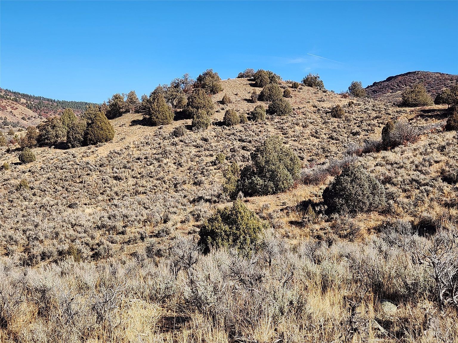 13849 State Hwy #64 Dulce, NM 87528  | Land/Lot