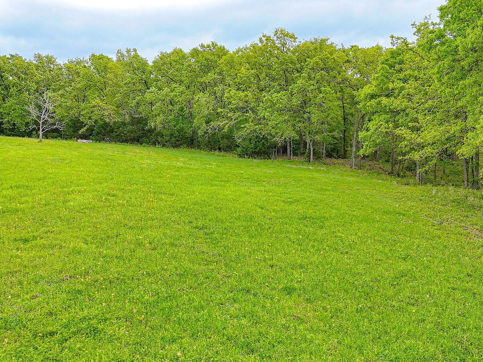 32 & 33 Lake Ridge Dr #24 Streetman, TX 75859  | Land/Lot